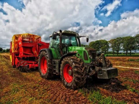 farming.jpg