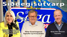 Íslenska ríkið orðið að svikamyllu Íslenska ríkið orðið að svikamyllu