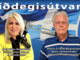 Bjargaði götumynd Laugavegar og lífríki Elliðaánna