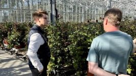 118 milljónir í styrki til orkusparnaðar í gróðurhúsum