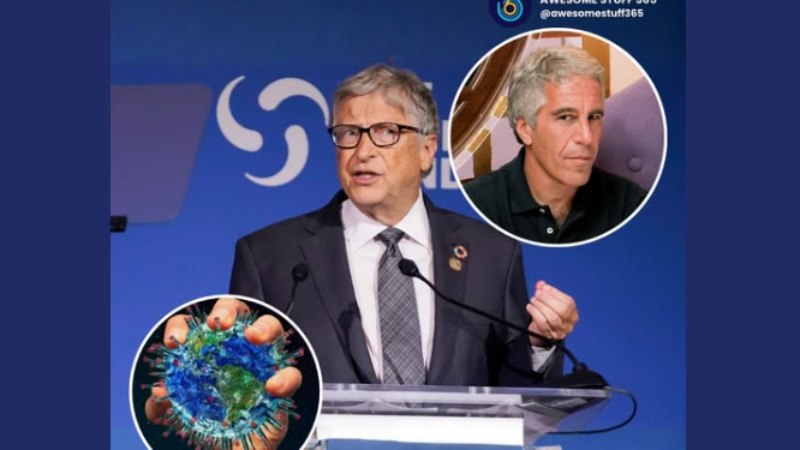 Epstein og Bill Gates tóku þátt í skipulagðri elítuglæpastarfsemi Epstein og Bill Gates tóku þátt í skipulagðri elítuglæpastarfsemi