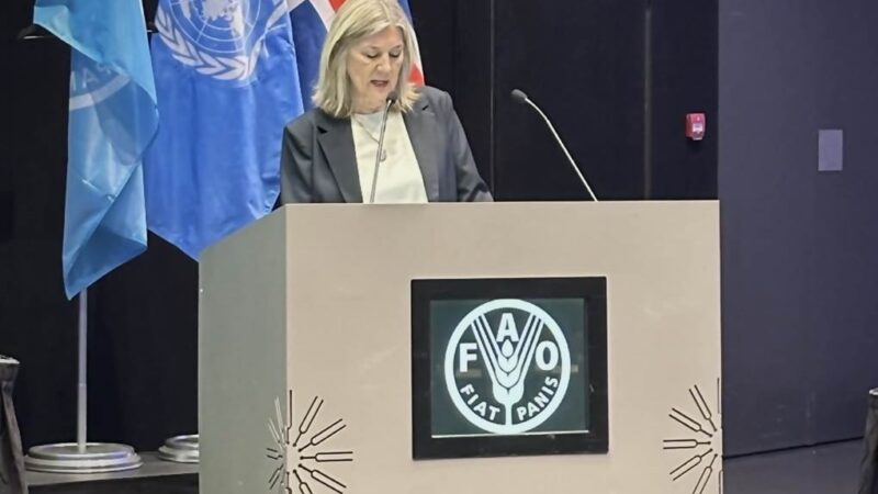 Ísland leiðir alþjóðlega stefnumótun í fiskveiðistjórnun Ísland leiðir alþjóðlega stefnumótun í fiskveiðistjórnun