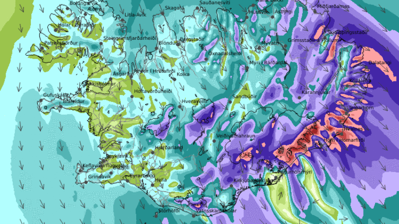 Stórhríð og ofsaveður á Austurlandi – vindur yfir 45 m/s