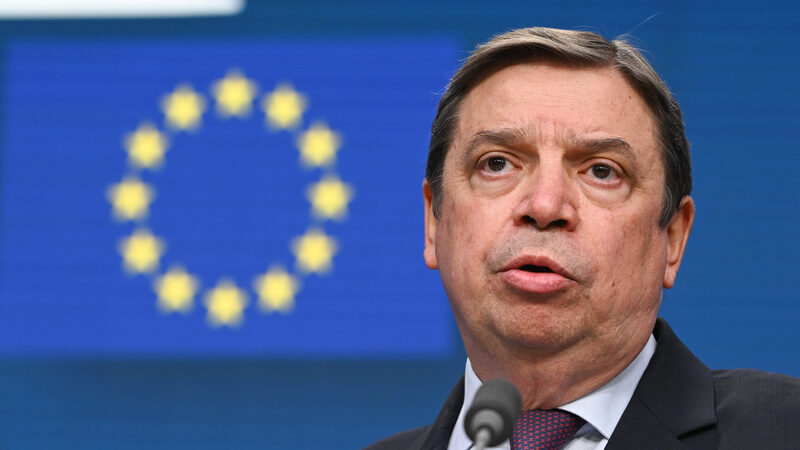 Spænskur ráðherra býður sig fram til að leiða Matvælastofnun Sameinuðu þjóðanna