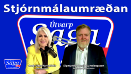 ESB-málið notað til að beina athygli frá efnahagsvandanum