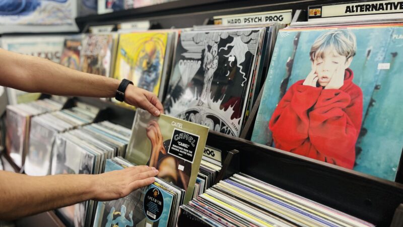 Leggja til þungar refsingar við stórfelldum höfundaréttarbrotum Leggja til þungar refsingar við stórfelldum höfundaréttarbrotum