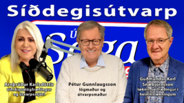 WHO hefur áhrif á íslenska lagasetningu