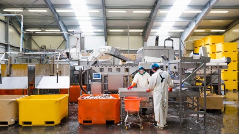 Ungt fólk, sjávarútvegur og framtíð íslensks efnahagslífs