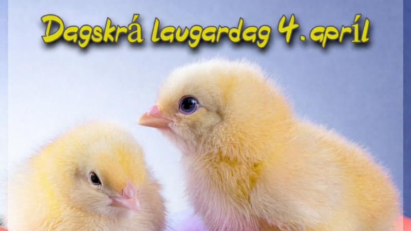 Hátíðardagskrá Útvarps Sögu – Laugardagur 4.apríl Hátíðardagskrá Útvarps Sögu – Laugardagur 4.apríl