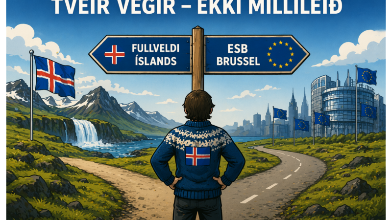 Samningsmarkmið Íslands mega ekki vera leyndarmál.
