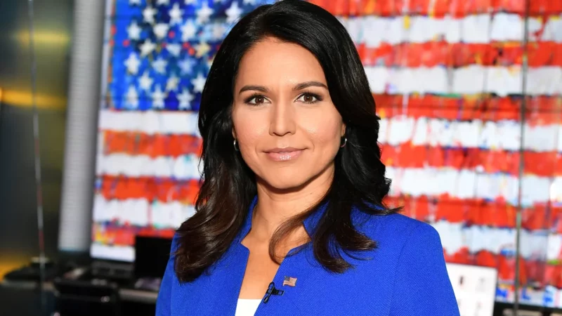 Tulsi fór yfir rannsókn á tengslum Anthony Fauci á upphafi Covid faraldursins