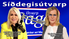 Grunnskólaeineltið komið inn í stjórnmálin