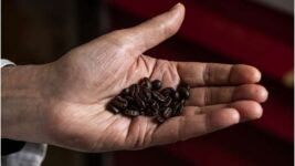 Ný rannsókn: Kaffi gæti hægt á áhrifum öldrunar
