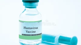 Könnun: Meirihluti telur bóluefni við Hantaveiru koma fljótlega á markað