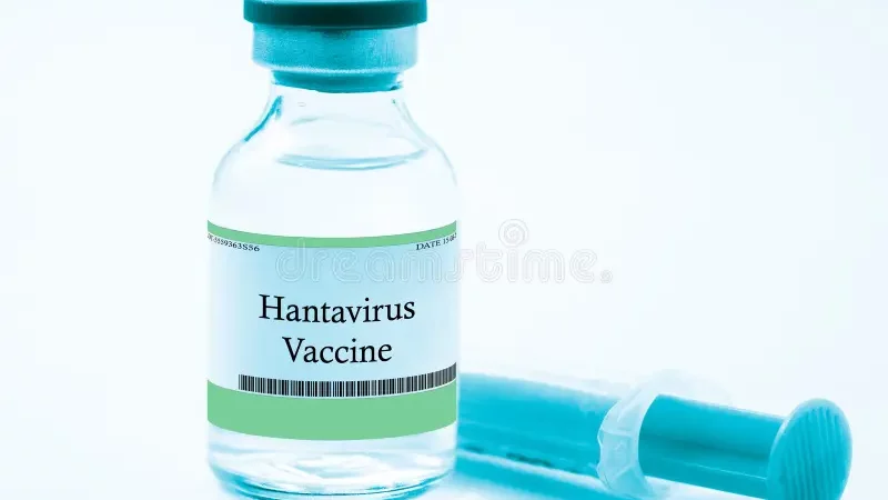 Könnun: Meirihluti telur bóluefni við Hantaveiru koma fljótlega á markað Könnun: Meirihluti telur bóluefni við Hantaveiru koma fljótlega á markað