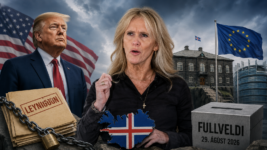 Hver er munurinn á Þorgerði Katrínu og Donald Trump?