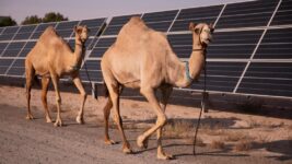 ESB vill flytja inn sólarorku frá Sahara ESB vill flytja inn sólarorku frá Sahara