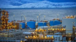 Evrópa stendur frammi fyrir harðnandi samkeppni um gasbirgðir