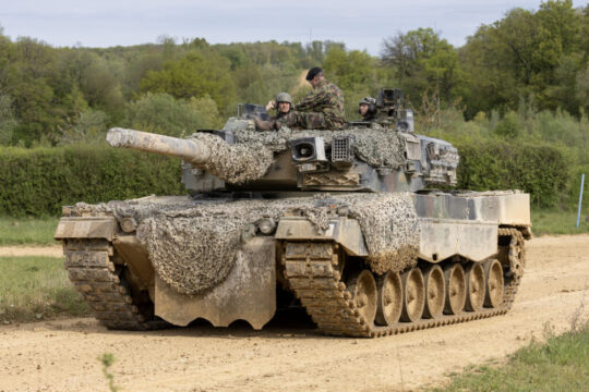 leopard-scaled.jpg