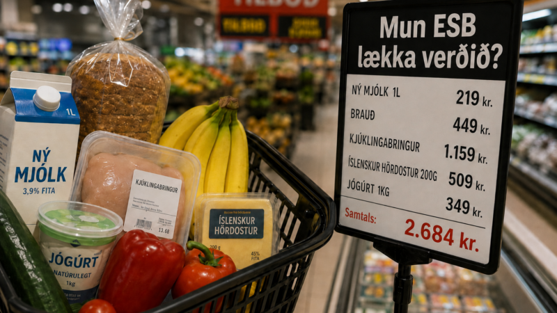 ESB-aðild er engin trygging fyrir lægra matvöruverði