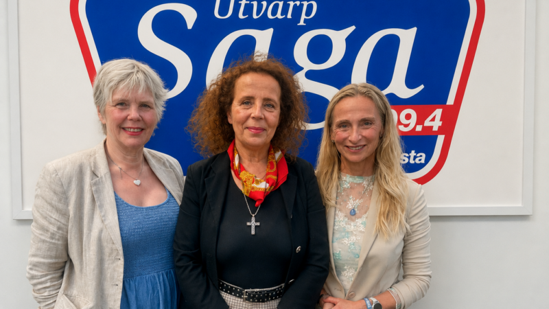 Dimmar íbúðir geta skaðað heilsu og aukið ójöfnuð