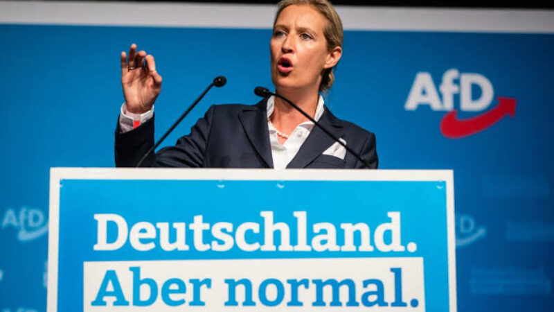 Weidel krefst þess að Þýskaland stöðvi alla aðstoð við Úkraínu