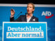 Weidel krefst þess að Þýskaland stöðvi alla aðstoð við Úkraínu