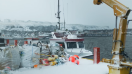 Íslensk heimildarmynd um Grímsey og fleiri góðar frumsýndar í Bíó Paradís Íslensk heimildarmynd um Grímsey og fleiri góðar frumsýndar í Bíó Paradís